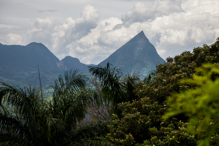 COL Cerro Tusa