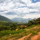 COL Cerro Tusa Paisaje