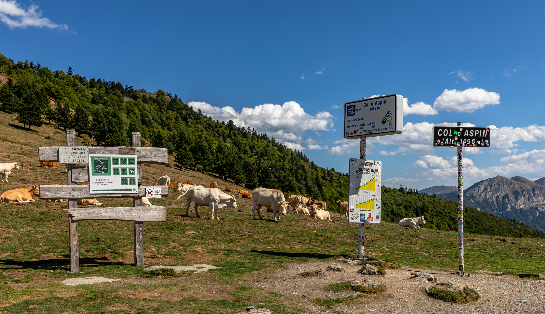 Col d´Aspin   1.489 Meter  