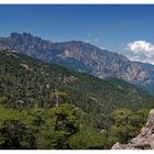 col de bavella (III)