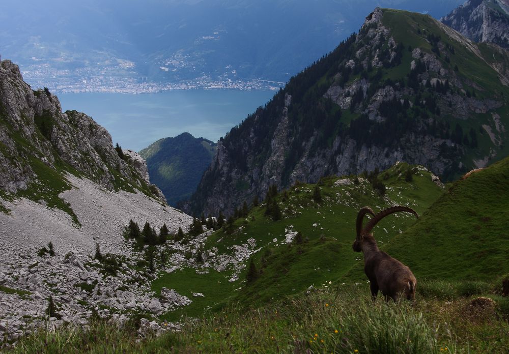 Col de Bise, 14.7.2012