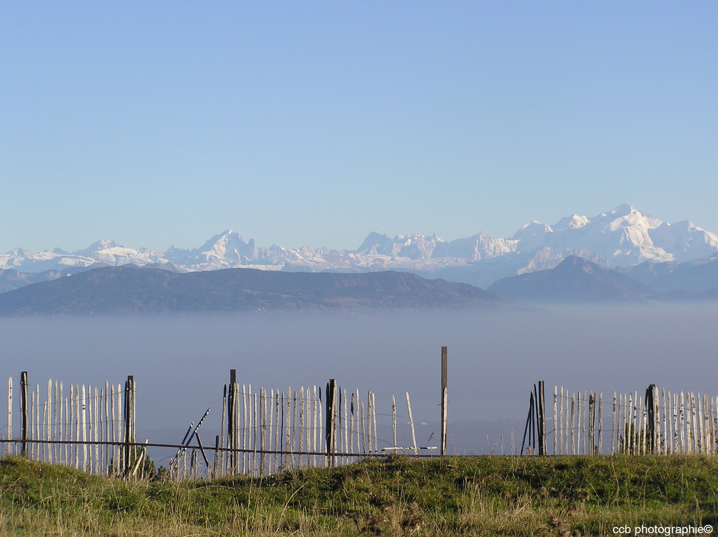 Col de la Faucille (Jura) avec vue sur le Mont Blanc