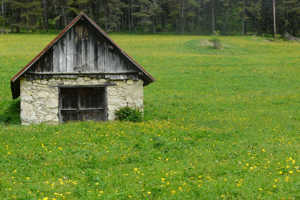 Col de l'Allimas