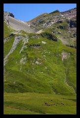 Col de Salenton