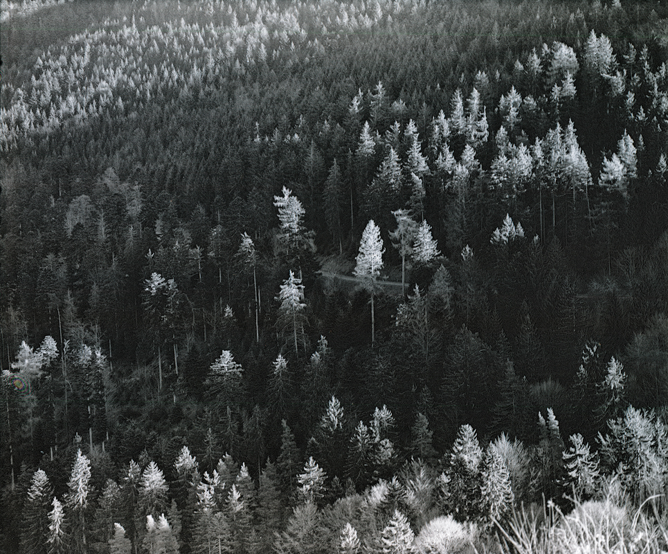 Col des Bagenelles