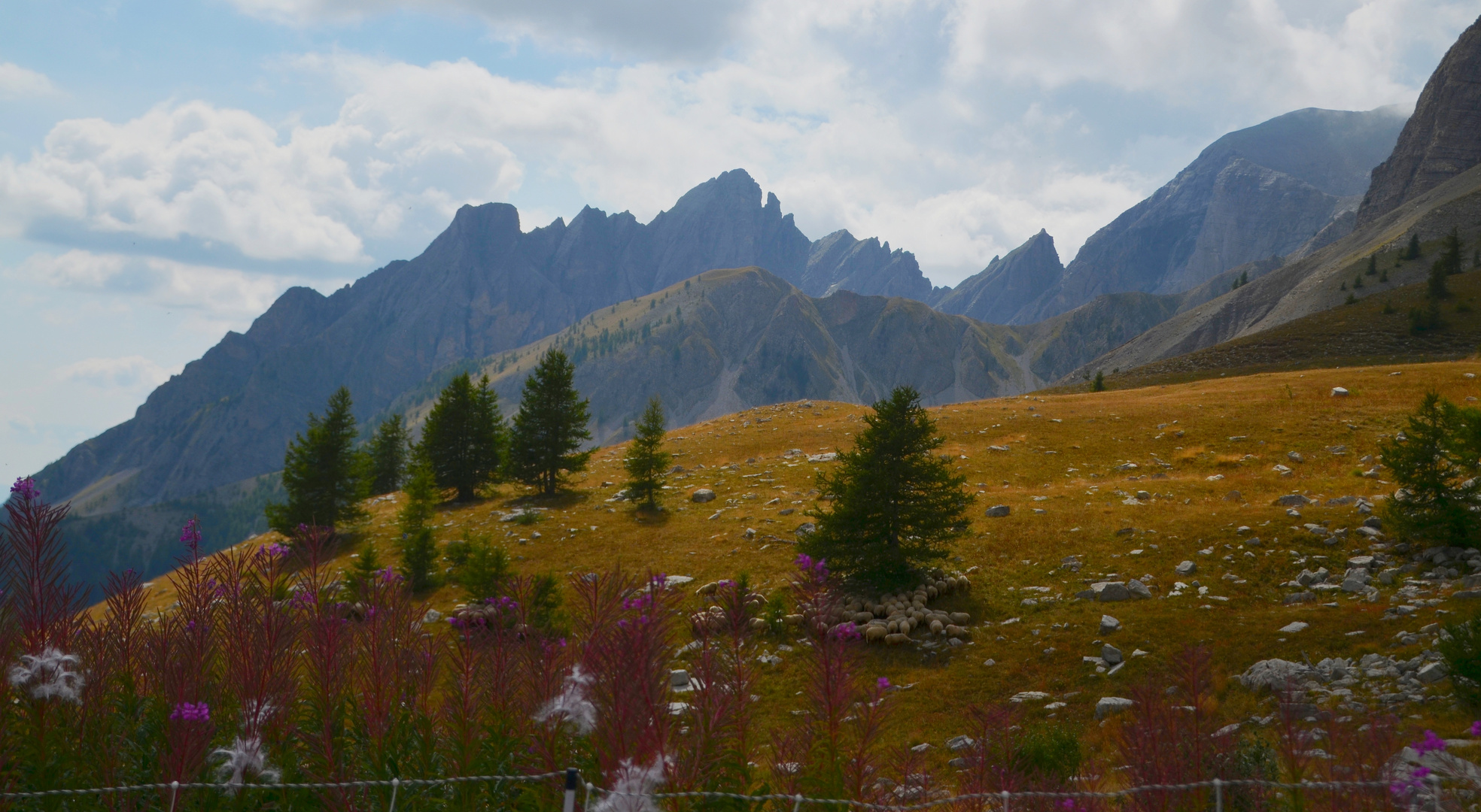 * Col des Champs*