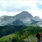 *Col des Champs*