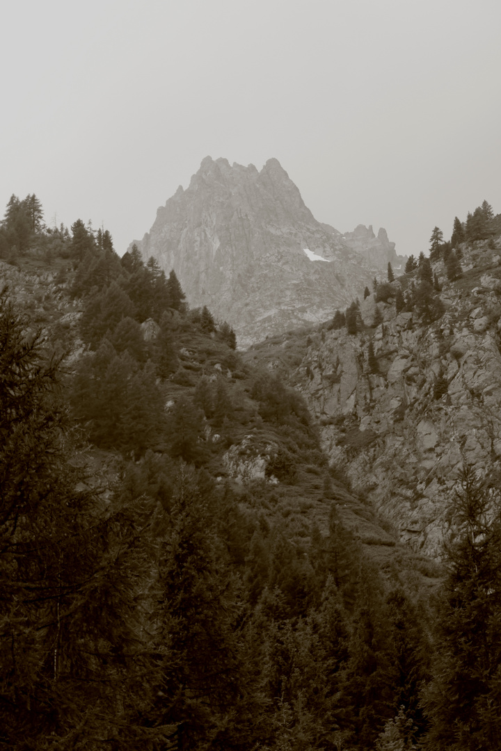 Col des Montets Cor