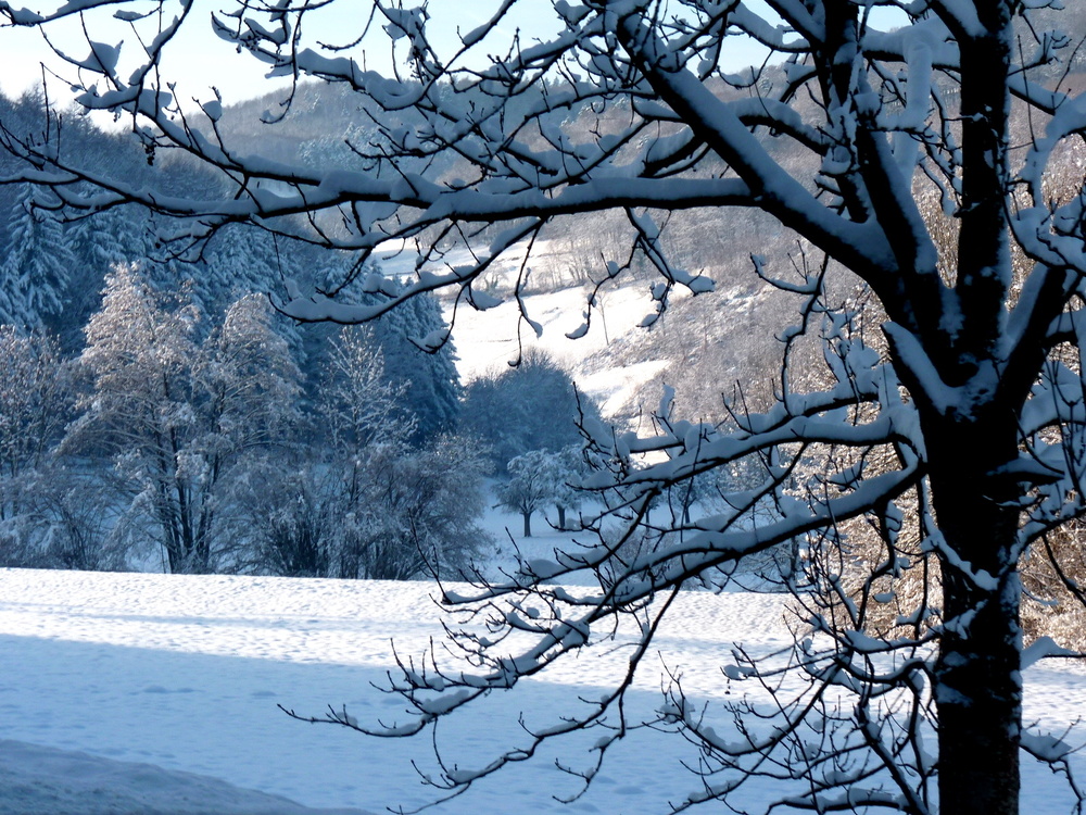 Col du Bonhomme.