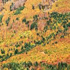 Col du Hahnenbrunnen