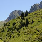 Col du Tourmalet, Aufstieg von der Westseite 3