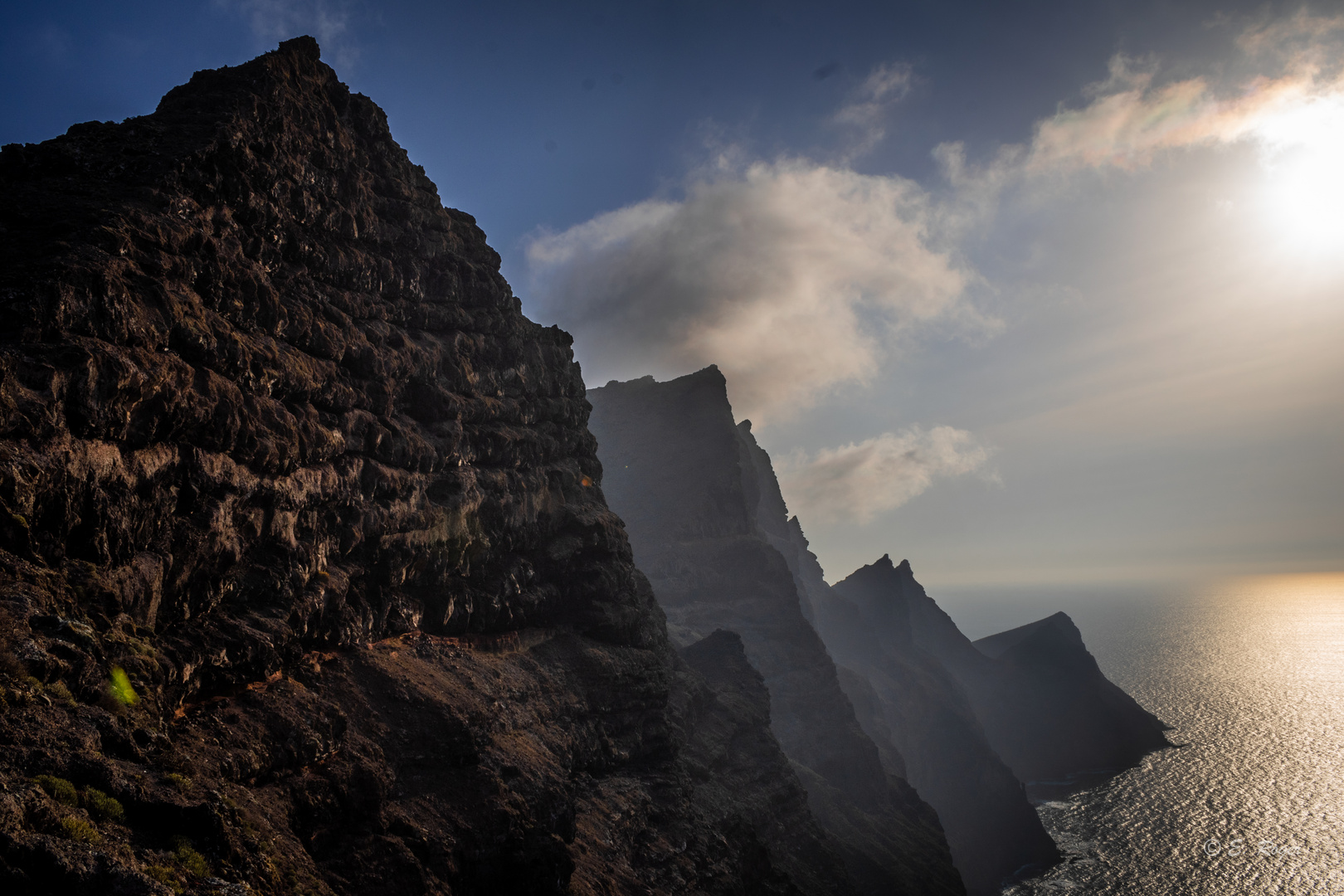 Cola de Dragón - Gram Canaria