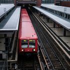 COLADOSE IN BERLIN-GESUNDBRUNNEN