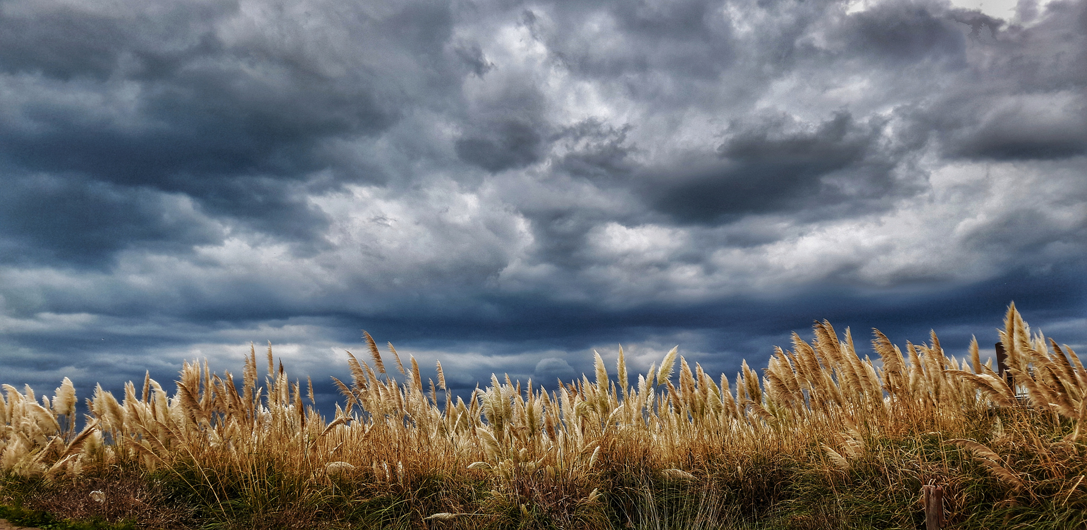 Colas y tormenta 