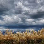 Colas y tormenta 