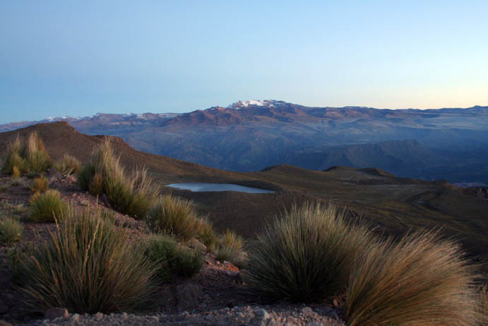 Colca