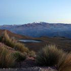 Colca