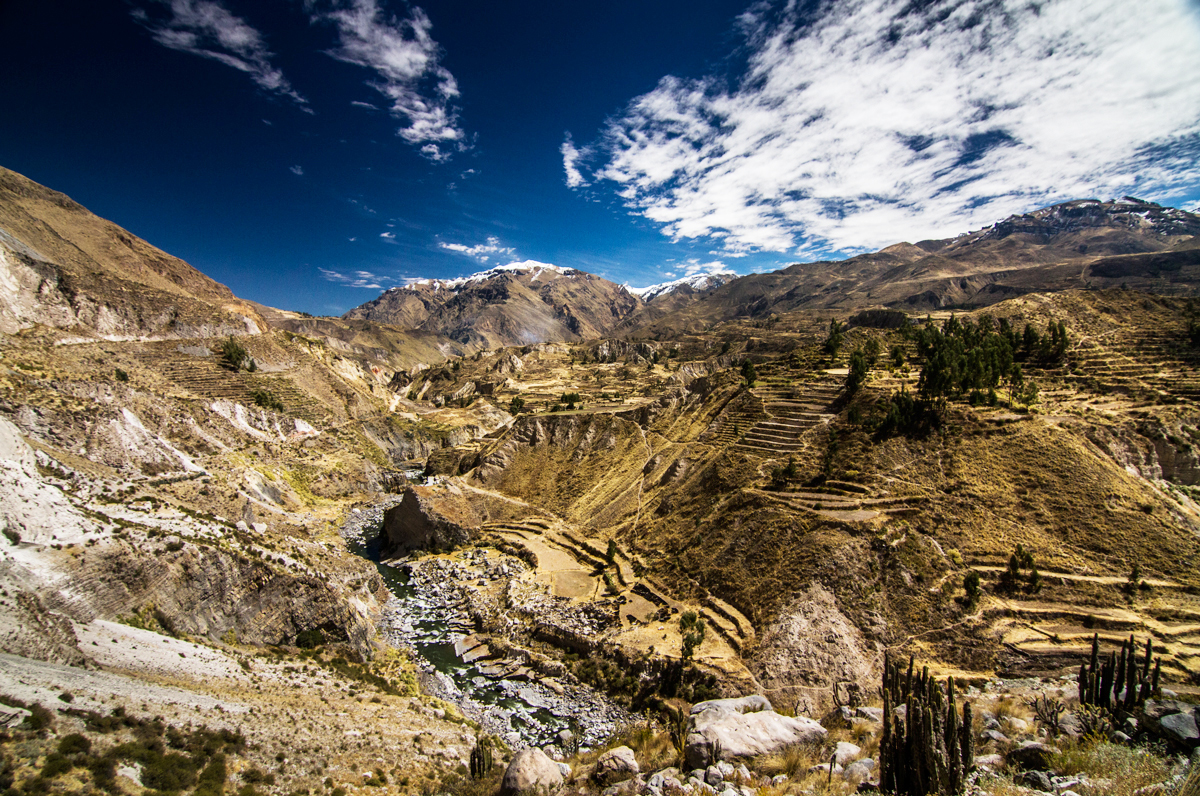 Colca-Cañón