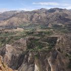 Colca Cañon