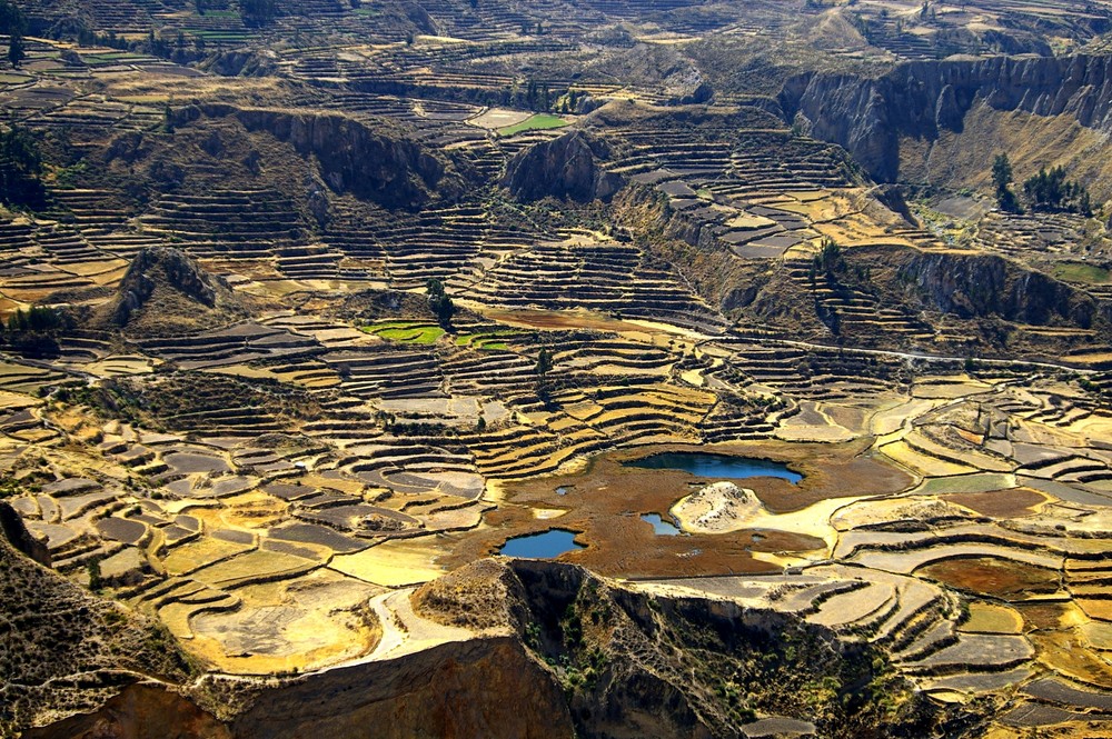 Colca Cañón