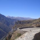 colca