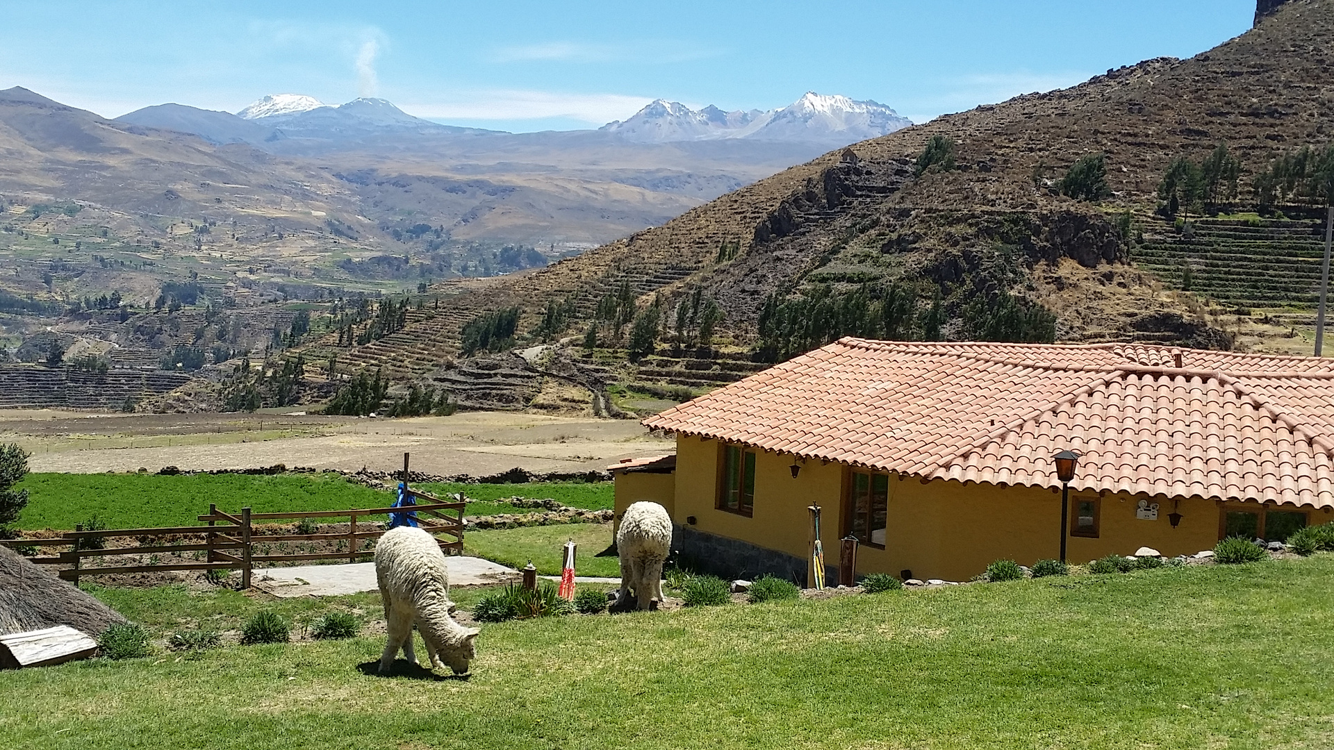 Colca-Tal