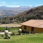 Colca-Tal