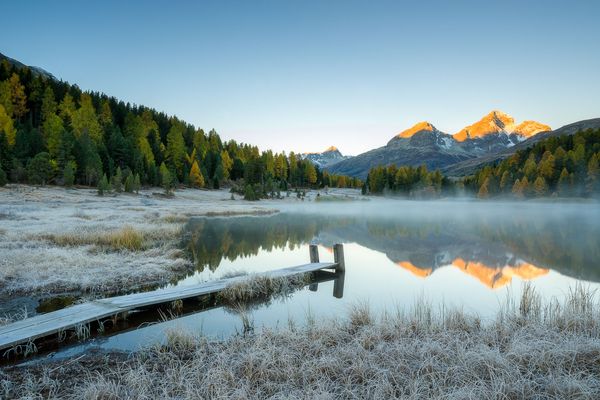 COLD AND GOLD AUTUMN