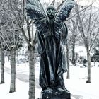 Cold Angel