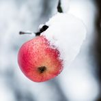 ''Cold apple fruit''  :)                