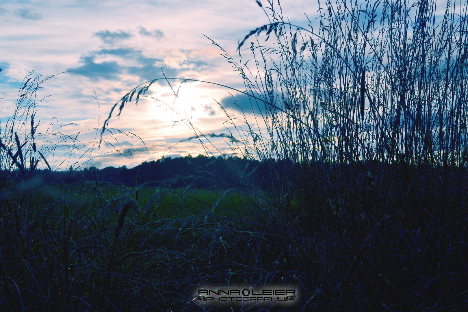 Cold blue field