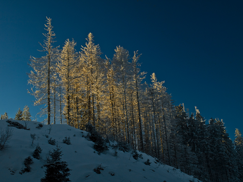 cold blue ice - not eyes!