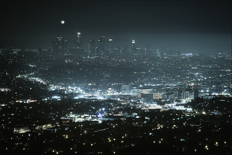 ...  Cold City Lights  ...