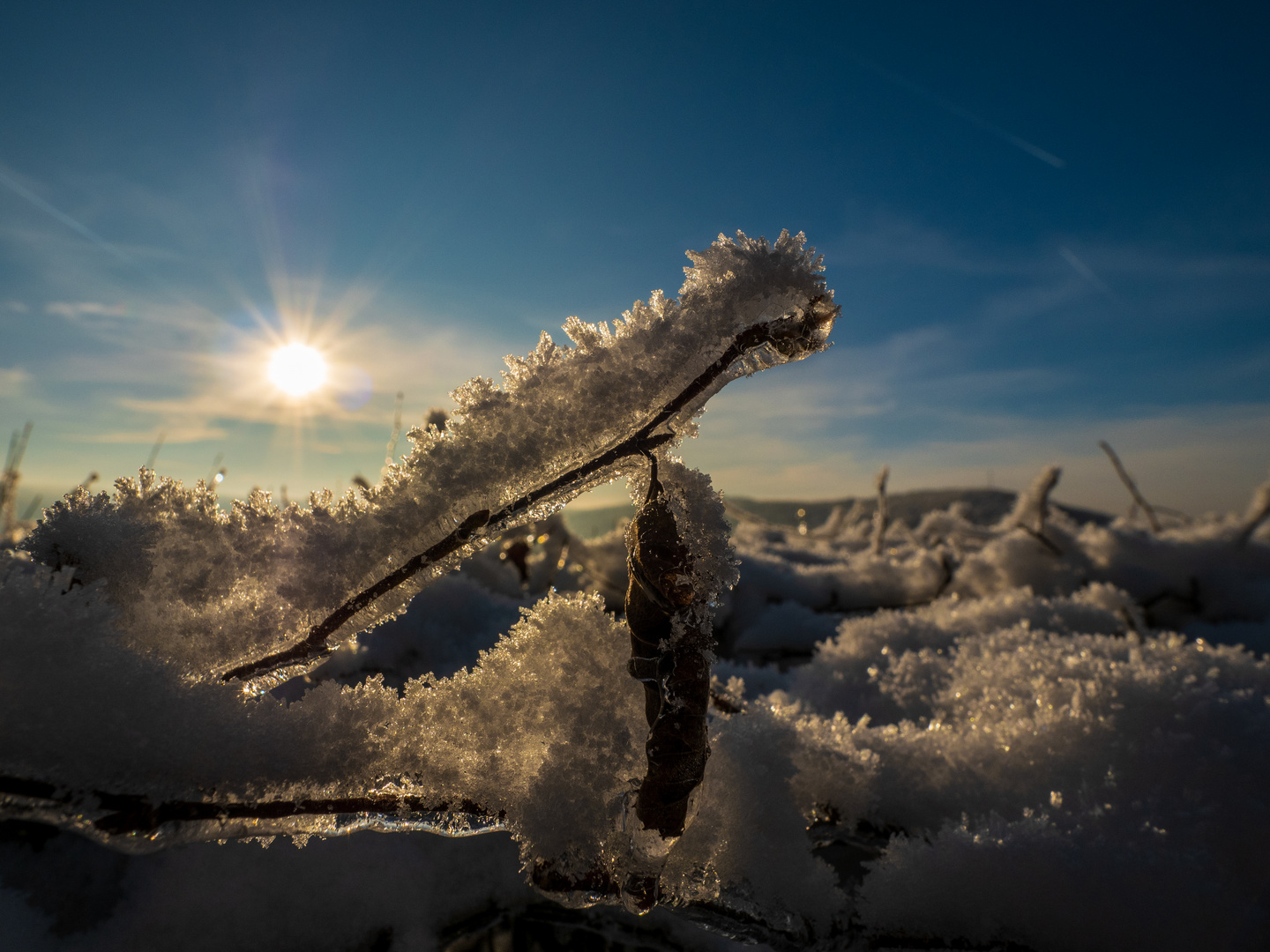 Cold evening 