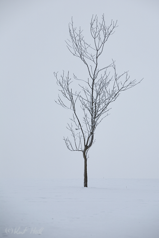 Cold foggy Morning