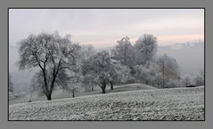 cold in switzerland 1