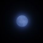 Cold Moon