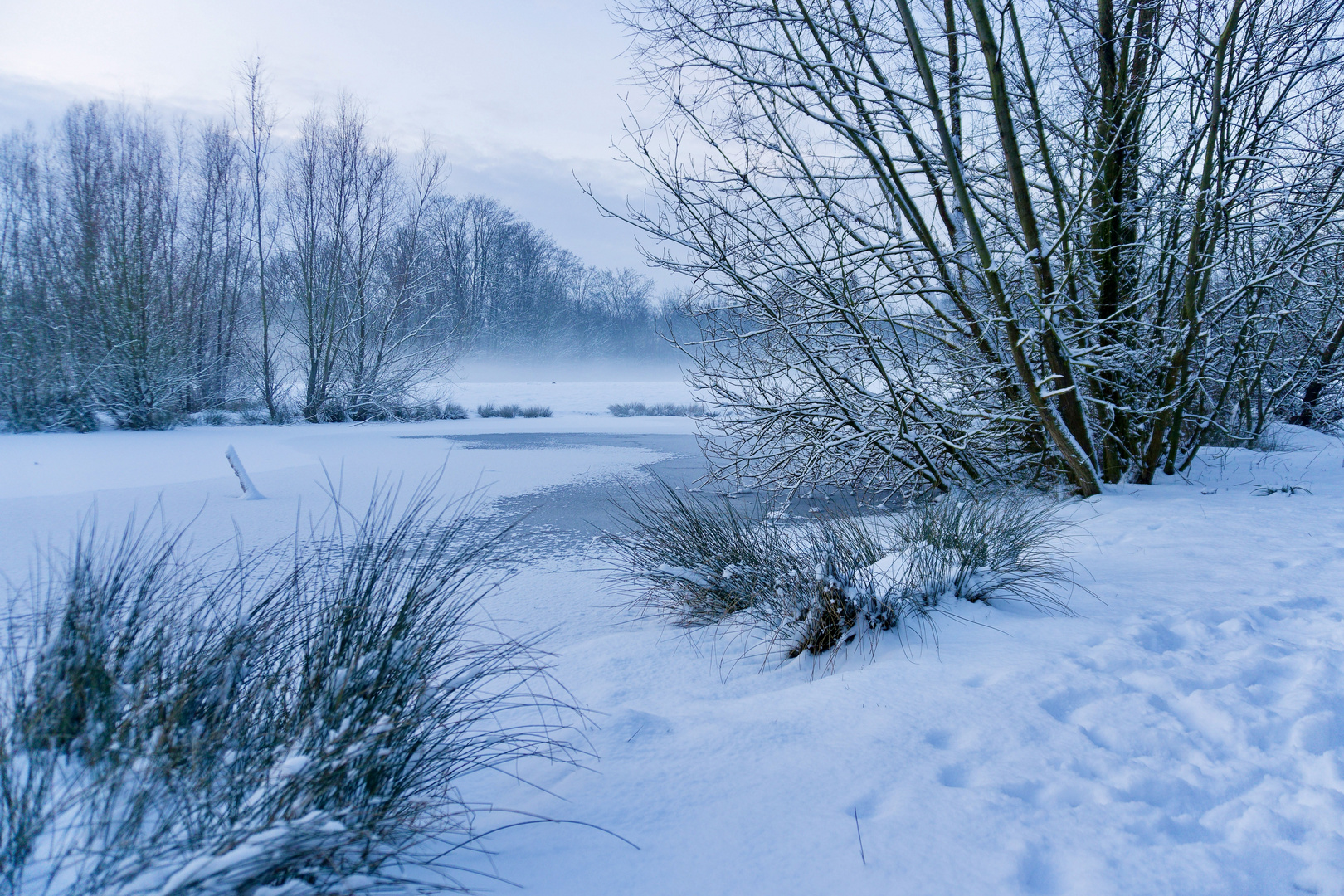 Cold Morning at the Lake