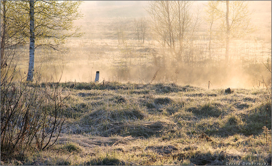 Cold morning