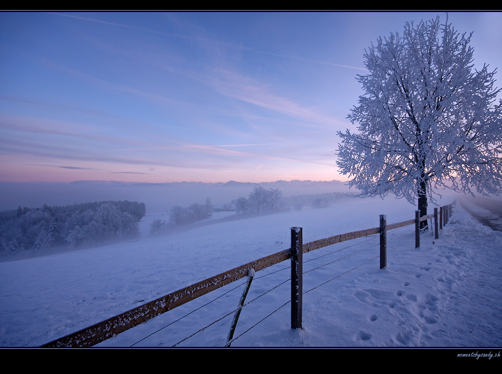 cold night