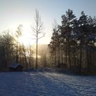 Cold Nordic Winter Sun