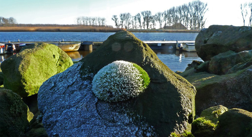 "cold-nose-day" Foto & Bild | quatsch, fun und rätselecke, humorvolle