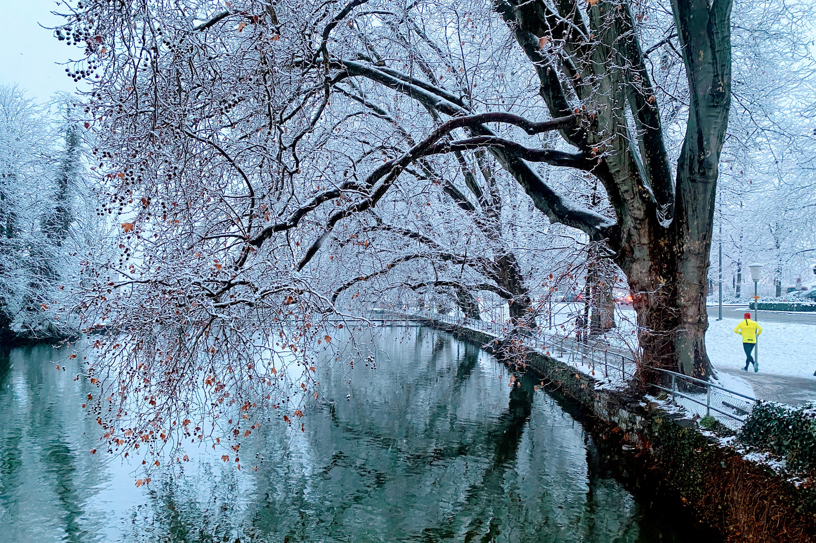 Cold River 