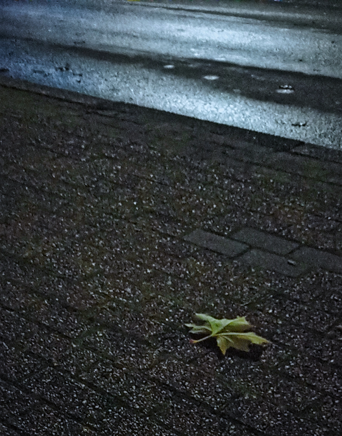 cold sidewalk