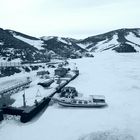 Cold spring of 2010