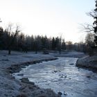 Cold winter in the Pavlovsk-Park