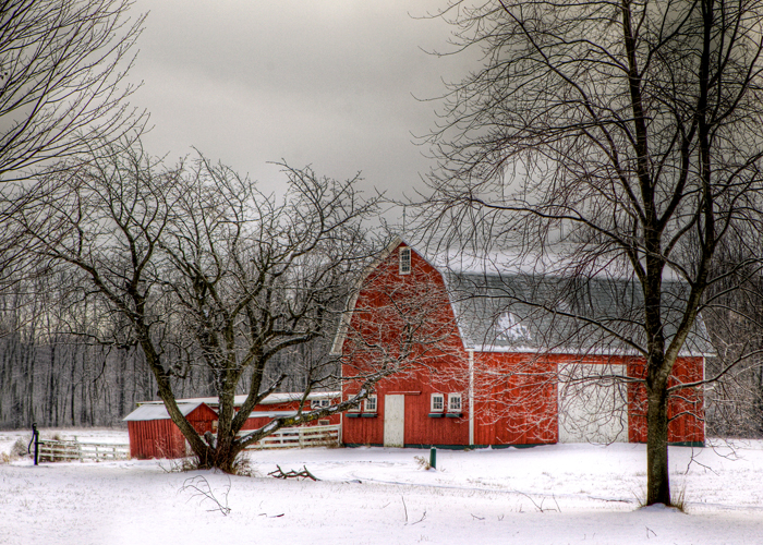 Cold Winter Morning