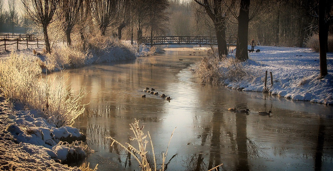 Cold winter morning