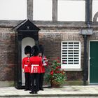 Coldstream Guards