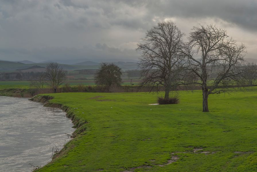 Coldstream  River Tweed